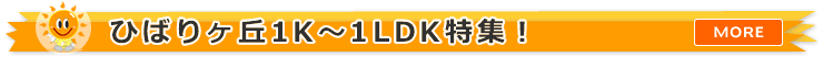 �Ђ΂胖�u1R�E1K�E1DK�E1LDK�̕������W