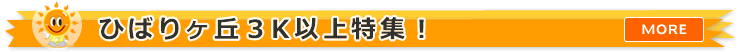 �Ђ΂胖�u3K�ȏ�̕������W